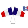 FRANCE DRAPEAU 14X21 CM