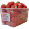 GROSSE FRAISE MOLLE 20 GR BULGARI