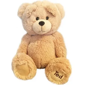 PELUCHE OURS TED 60 CM