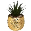 PLANTE POT ANANAS NANI 21 CM