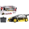 R/C 1/24 RALLYE