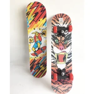 SKATE 4 ROUES 60 CM